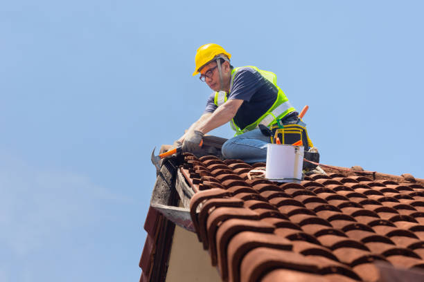 Best Roof Maintenance and Cleaning  in Anacortes, WA